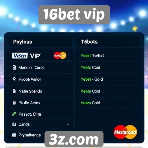 Métodos de pagamento oferecidos pelo 16bet vip